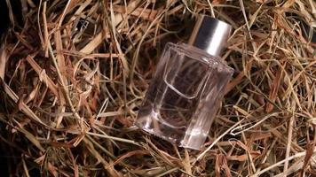 Perfume on dry grass Transparent bottle with perfume video