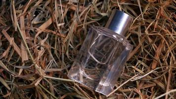 Perfume on dry grass Transparent bottle with perfume video