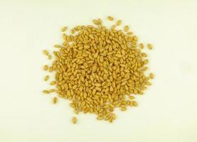 top view of wheat grain photo