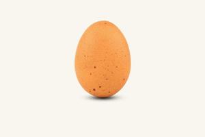 huevo de gallina marrón individual foto