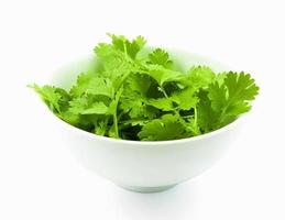 coriander leaves in bowl photo