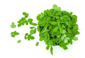 moringa leaves on white background photo