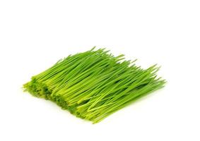 pile of cutting wheat grass for making juice photo