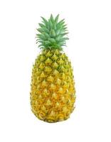 single pineapple isolated on white background photo