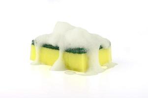 soapy sponge full of white foam photo