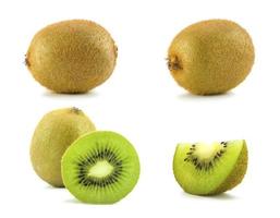 kiwi fruit collection on white background photo