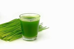 close up wheat grass shot photo