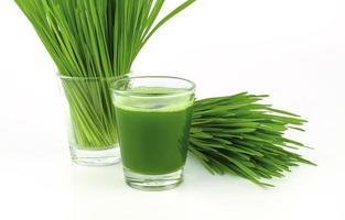 close up wheat grass juice photo