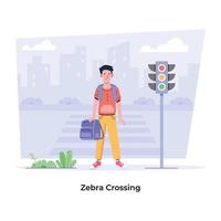 Trendy Zebra Crossing vector