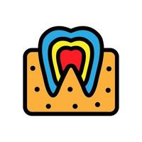 Dental anatomy icon line isolated on white background. Black flat thin icon on modern outline style. Linear symbol and editable stroke. Simple and pixel perfect stroke vector illustration.