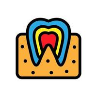 línea de icono de anatomía dental aislada sobre fondo blanco. icono negro plano y delgado en el estilo de contorno moderno. símbolo lineal y trazo editable. ilustración de vector de trazo simple y perfecto de píxeles.