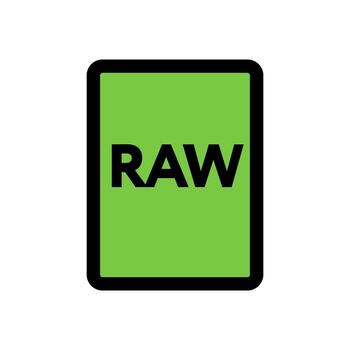 RAW file icon line isolated on white background. Black flat thin icon on modern outline style. Linear symbol and editable stroke. Simple and pixel perfect stroke vector illustration.