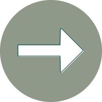 Right Arrow Vector Icon