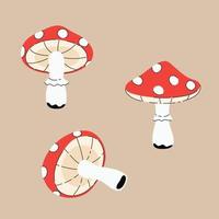 Set of fly agaric mushrooms vector drawings, freehand illustrations in flat style.