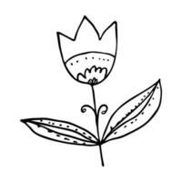 Vector doodle flower simple style. Isolated linear handdrawn tulip with leaves on white