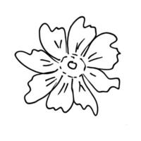 Vector doodle flower on white background. Isolated linear floral element for coloring