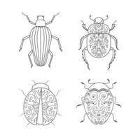 Beetle linear illustration botanical set vector