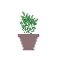 Dill herb in clay pot vector