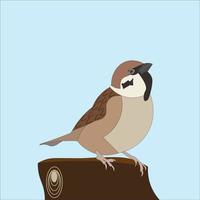 illustration of a sparrow or also called a pinpai vector