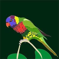 ilustración el arco iris lorikeet es un especies de loro ese es comúnmente encontró en el australiano continente. vector