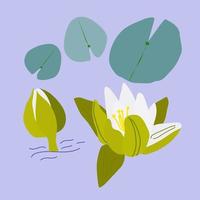 White water lilies and lily pads isolated on light blue background. Vector illustration. Wetlands, environmnent, nature illustration.