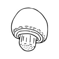 Champignon hand drawn isolated on white background. Single cute mushroom vector illustration. Food illustration.
