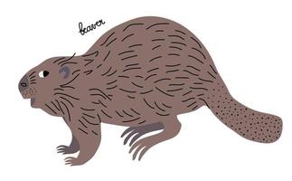 Beaver vector illustration. Standing. Cartoon, flat style with lettering. Wetland animal.