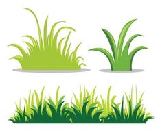 green grass isolated vector illustration. Different doodles of grass