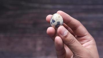 Close up of hand hold quails egg. video