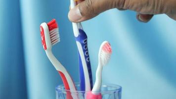 mão escolher uma colorida escovas de dente video