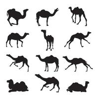 Set camel silhouette vector illustration.