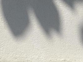 Shadow leaves on old wall background photo