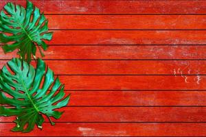 Green leaves pattern for nature concept,tropical leaf on red  brown wood textured background photo