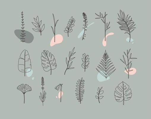 Set of different forms leaves in minimalism flat style on grey background