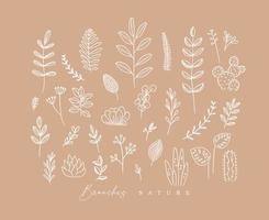 Set of different forms branch and leaves in minimalism style drawing on peach background vector