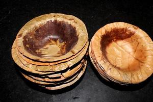 Reusable Sal Tree Leaf Plates. photo