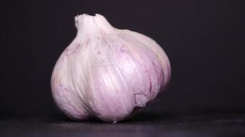 Ripe garlic close-up on a black background video