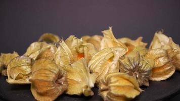 Physalis close-up on a black background rotates video
