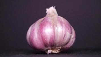 Ripe garlic close-up on a black background video