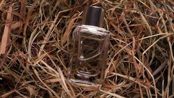 Perfume on dry grass Transparent bottle with perfume video