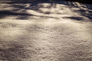 Close up untouched snow cover sparkling under sunlight concept photo