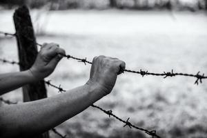 Hands on a barbed wire photo