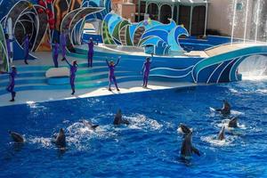 SAN DIEGO, USA - NOVEMBER, 15 2015 - The dolphin show at Sea World photo