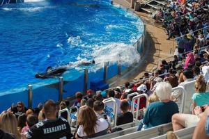 SAN DIEGO, USA - NOVEMBER, 15 2015 - The killer whale show at Sea World photo