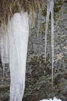 icicles detail in snow winter time photo