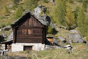 Old wood cabin hut photo