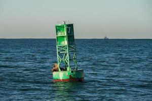 sea lion relaxing on a buoy photo