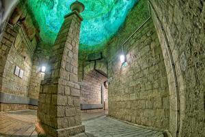 Paris Catacombs green ceiling detail photo