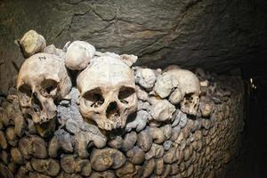 Paris Catacombs Skulls and bones photo