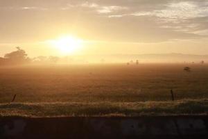 A Serene Rural Landscape of Farms photo